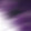 anemone__k
