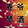juanyeqinjiu