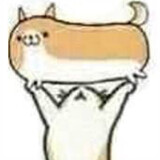 haochibaole