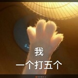 yidawude___