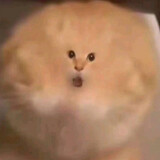 ___miqiu