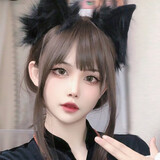 dakkiyi