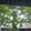 Mamun8552