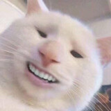 jinnianyazhu