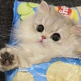 喷嚏