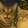 卍cat-olic