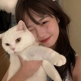 qierii
