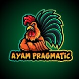 AyamPragmatic