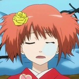 meibaoerxiagaoxing