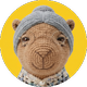 creator avatar