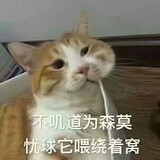 bocaiyongshidali