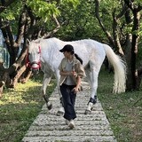 mimichanshiguan