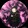 rg.amv