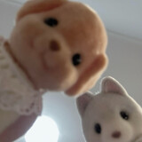 bajibaoqiaowanㅈㄴ