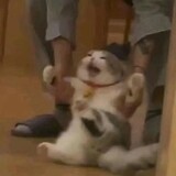 fuxixfengzi