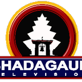 Bhadagaun Television