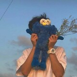 Mengxiangshixiandedefangcaihonghai