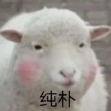 llxunhuanqu