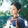 yuelian__