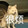 fenjinhe-