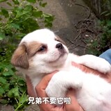 juele_yuan