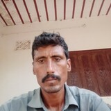imranalidishinfo512