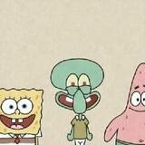 meitaiづyangxiao8487