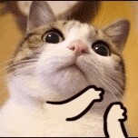 youshimanmandeyitian