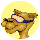 Doncamelleon