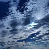 muqiaosky1