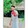bili_2050070290