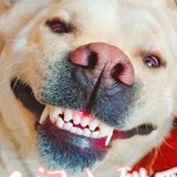 meiqichongdianzhuang