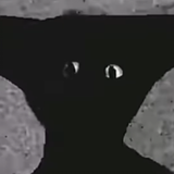 BlvckNoob