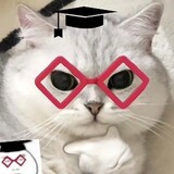 ___memesusu