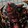 suchi_03