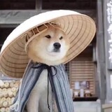 shuiashuia