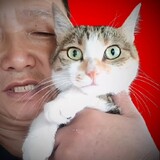 ___he___wang