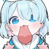 huitaopaodetaozijing