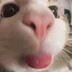 起Arvin
