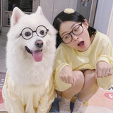 piaomei_