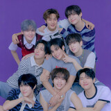 feiliniupaihaochima