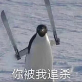 yumizu_02_01