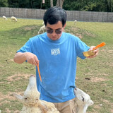 MrDonkeyMan