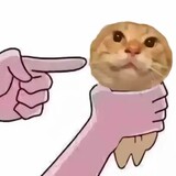 memebiere___