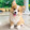 Cute DoG_