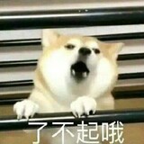 zesanjinqaq