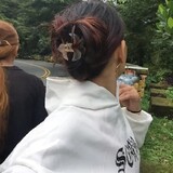 Han Nah1233
