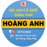 Hoàng_Anh_1992