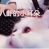bingxigusha