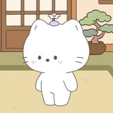 cattyuuu